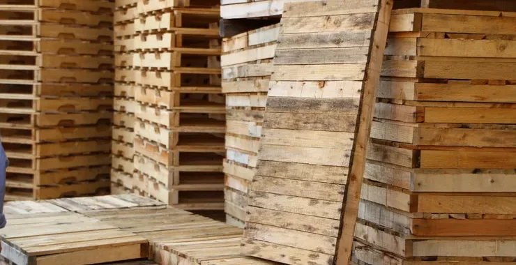 Tarimas de madera